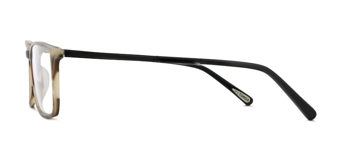 Exxess 4050 Brown Stripe